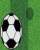 /album/fotbal/fotbal-007-gif/